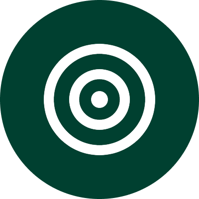 Icon Visi